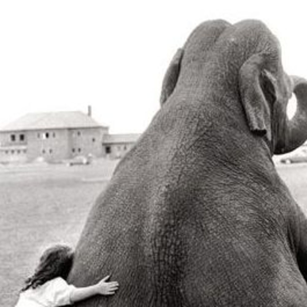 Meet your Posher, Chim